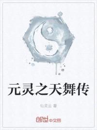 元灵之天舞传封面