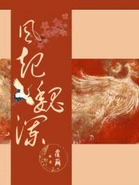 风起魏澜封面