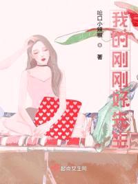 我的刚刚好先生封面