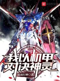 我以机甲，对决神灵封面