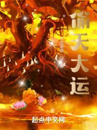 偷天大运封面