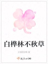 白桦林不秋草封面