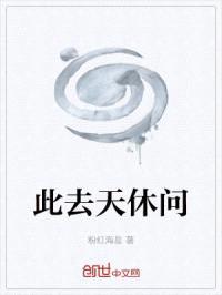 此去天休问封面