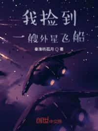 我捡到一艘外星飞船封面