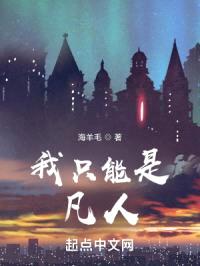 我只能是凡人封面