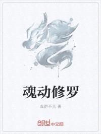 魂动修罗封面