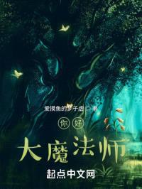 你好，大魔法师封面