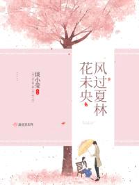 风过夏林花未央封面
