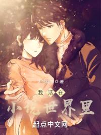 我活在小说世界里封面