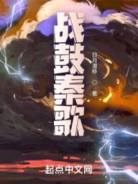 碧血沁花魂封面