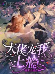大佬宠我上瘾封面