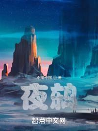 夜鸫封面