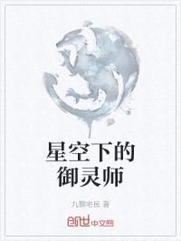 星空下的御灵师封面