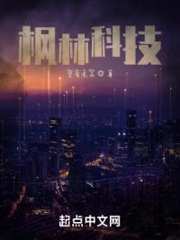 枫林科技封面