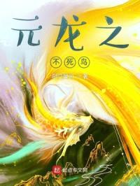 元龙之不死鸟封面