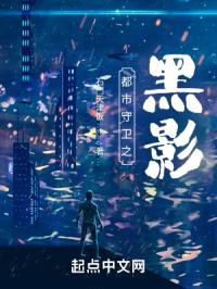 都市守卫之黑影封面