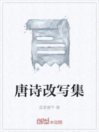 唐诗改写集封面