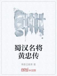 蜀汉名将黄忠传封面