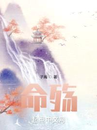 命殇封面