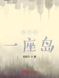 海中的一座岛封面