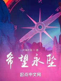 希望永坠封面