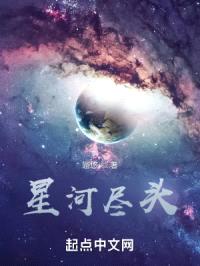星河尽头封面