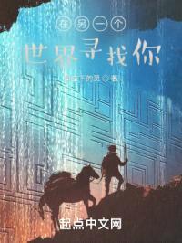 在另一个世界寻找你封面