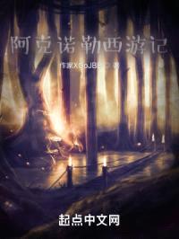 阿诺克勒希游记封面