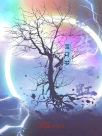 宝可梦：新生之虹封面