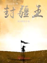 封疆王封面