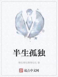 半生孤独封面