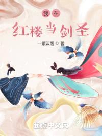 我在红楼当剑圣封面