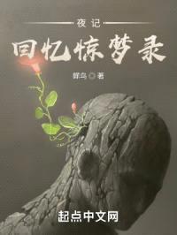 夜记回忆惊梦录封面