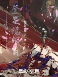 梦里登星揽明月封面