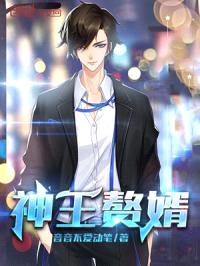 神王赘婿封面