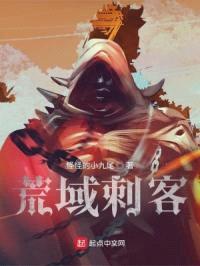 荒域刺客封面