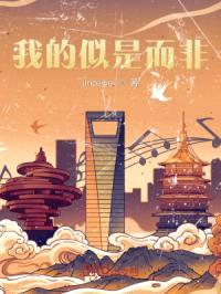 我的似是而非封面
