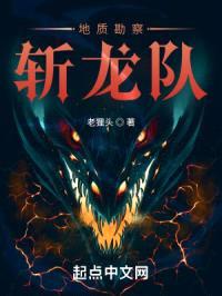 地质勘察斩龙队封面