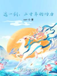 这一剑，二十年的功力封面