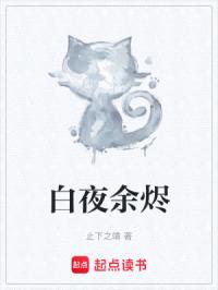 白夜余烬封面