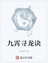 九霄寻龙诀封面