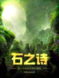 石之诗封面