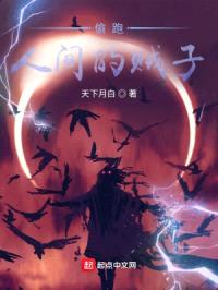 偷跑人间的贼子封面