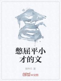 憋屈平小才的文封面