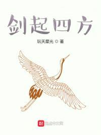 剑起四方封面