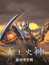 末日之无上火神封面