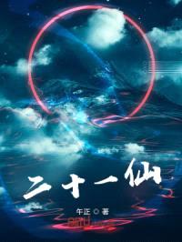 二十一仙封面