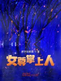 圣母的日常封面