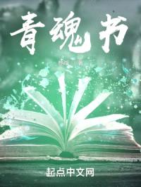 青魂书封面