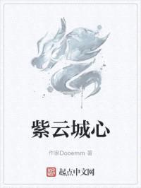 紫云城心封面